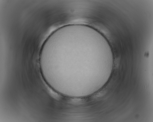 X0000091881470200709261341