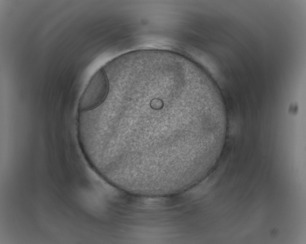 X0000091881471200709261341