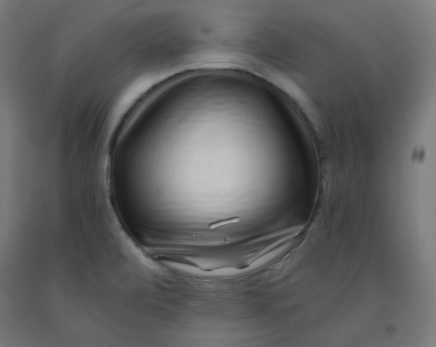 X0000091881472200709261341