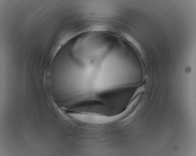 X0000091881473200709261341