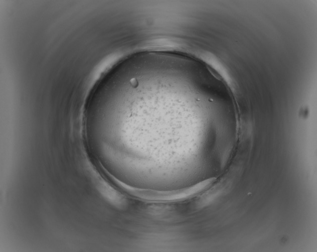 X0000091881477200709261341