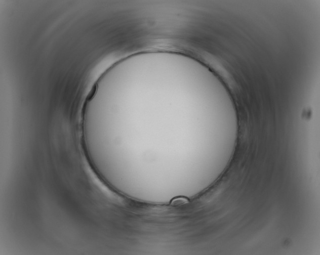 X0000091881479200709261341