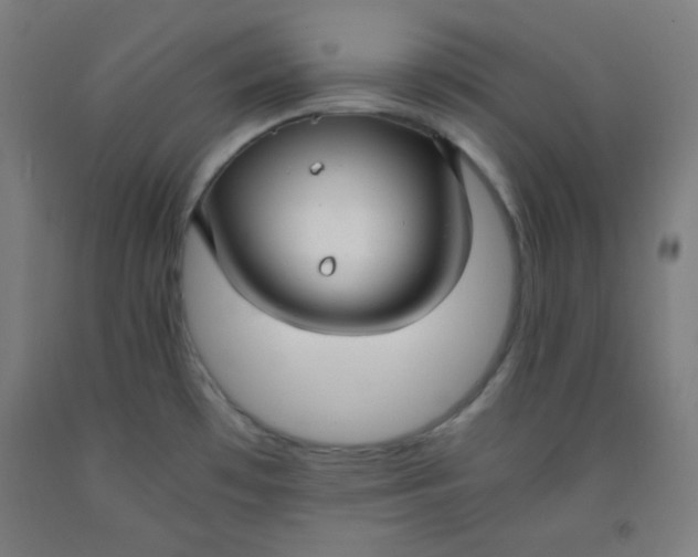 X0000091881481200709261341