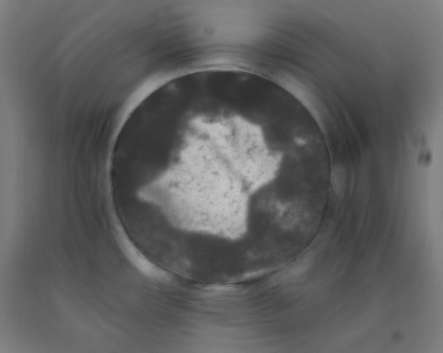 X0000091881482200709261341