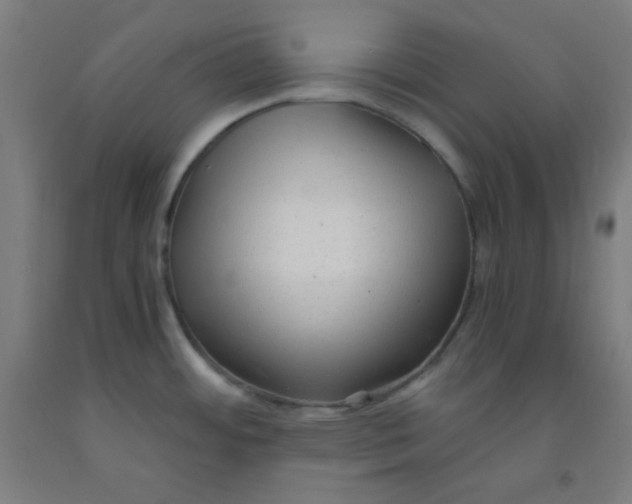 X0000091881484200709261341