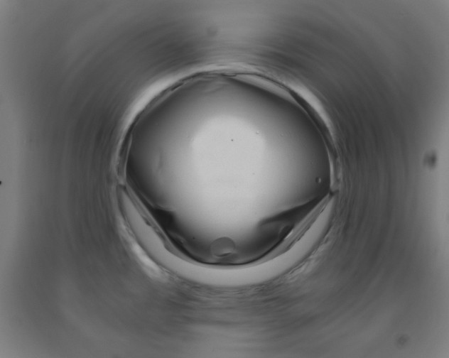 X0000091881485200709261341