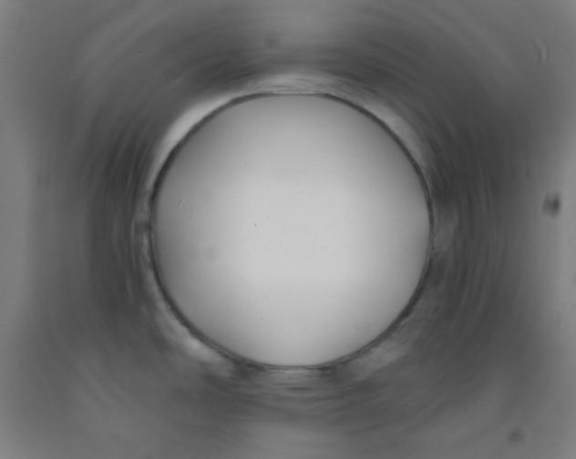 X0000091881486200709261341