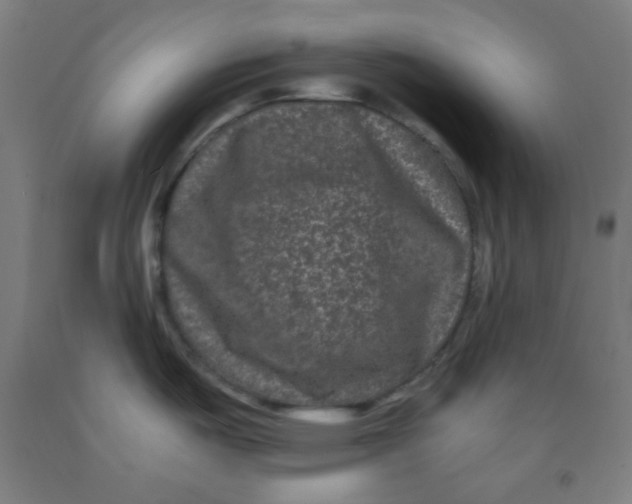 X0000091881487200709261341