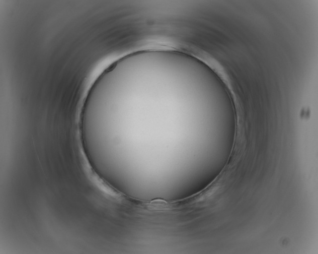 X0000091881488200709261341