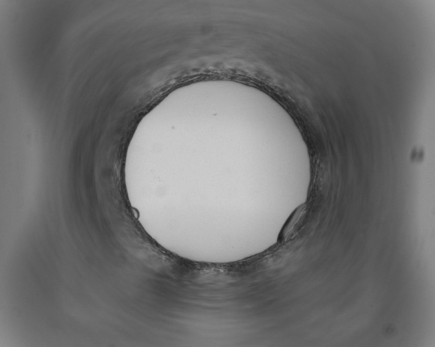 X0000091881489200709261340