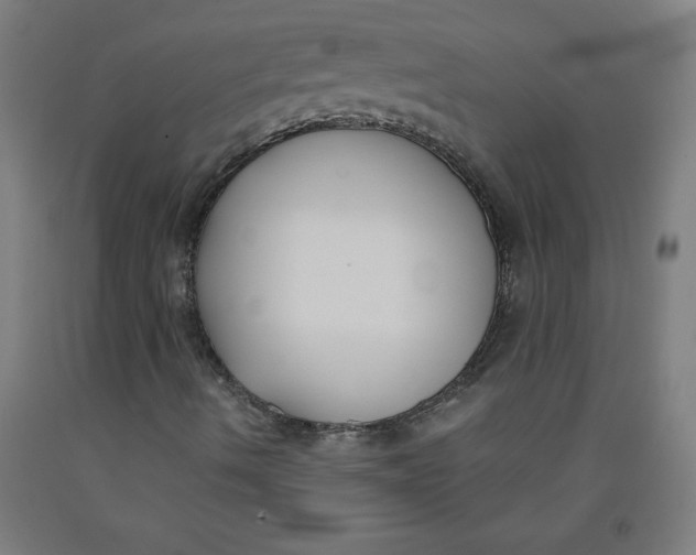 X0000091881490200709261340