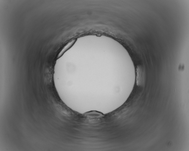 X0000091881491200709261340