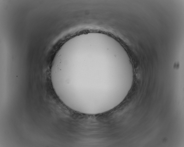 X0000091881495200709261340