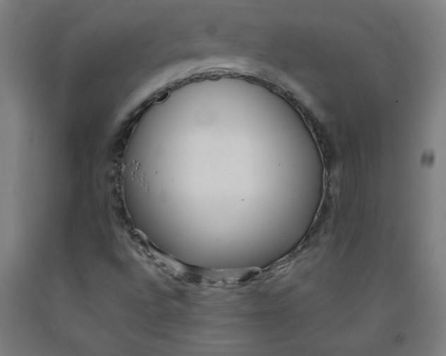 X0000091881496200709261340