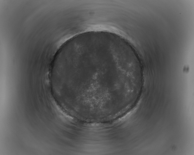 X0000091881497200709261340