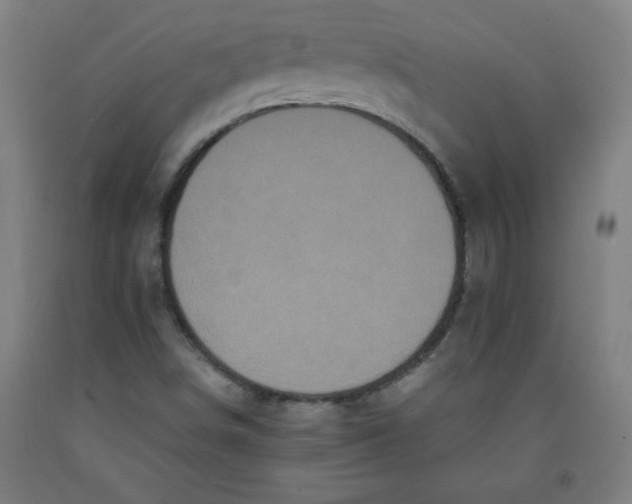 X0000091881498200709261340