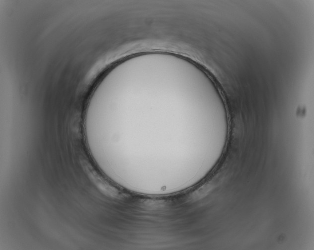 X0000091881499200709261340