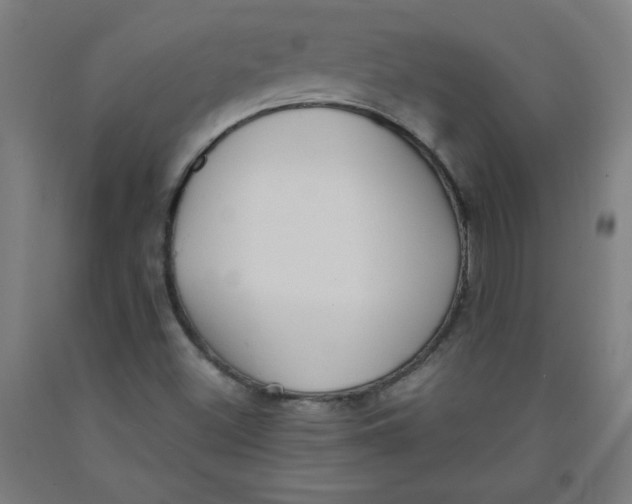 X0000091881500200709261340