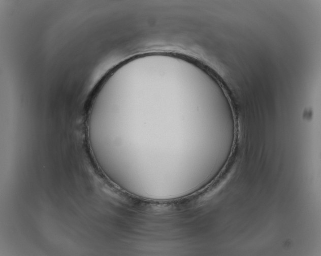 X0000091881501200709261340