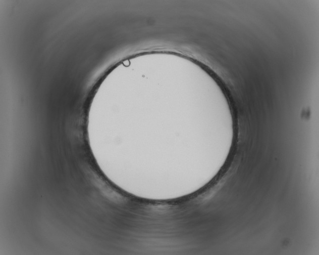 X0000091881502200709261340