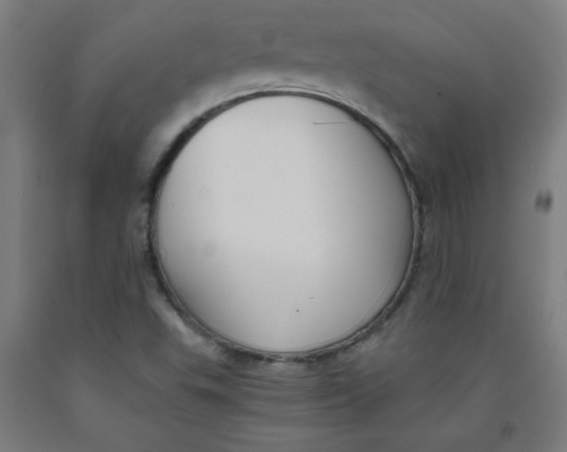 X0000091881503200709261340