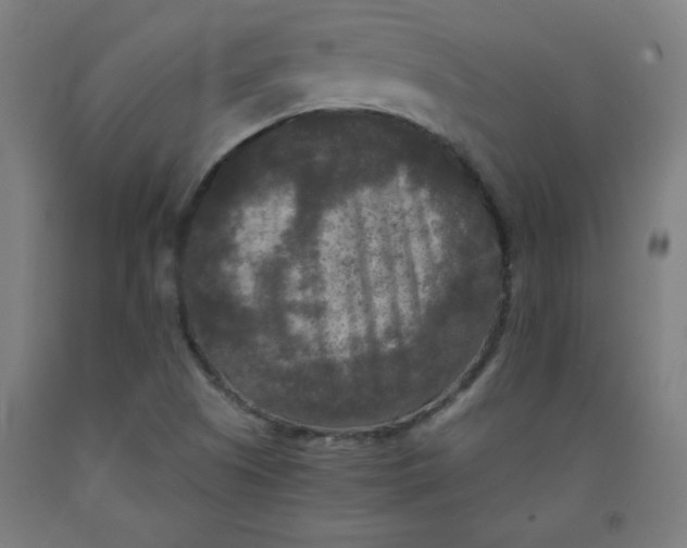 X0000091881505200709261341