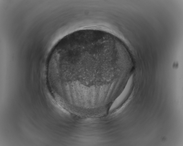 X0000091881506200709261341