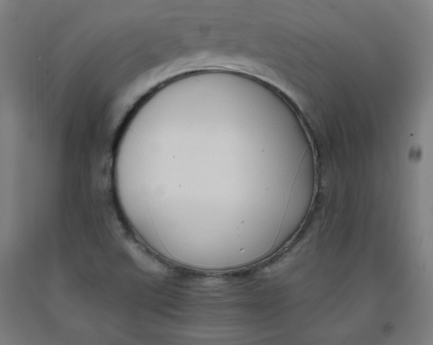 X0000091881507200709261341