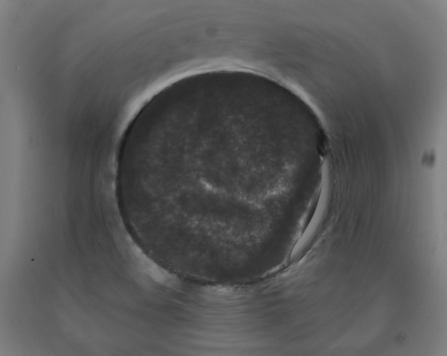 X0000091881508200709261341