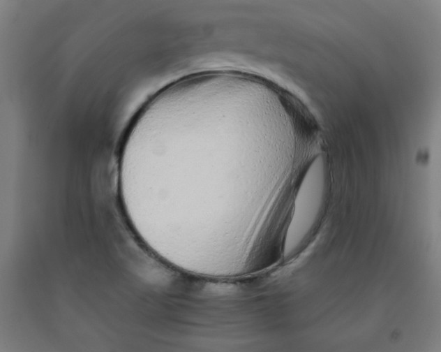 X0000091881509200709261341