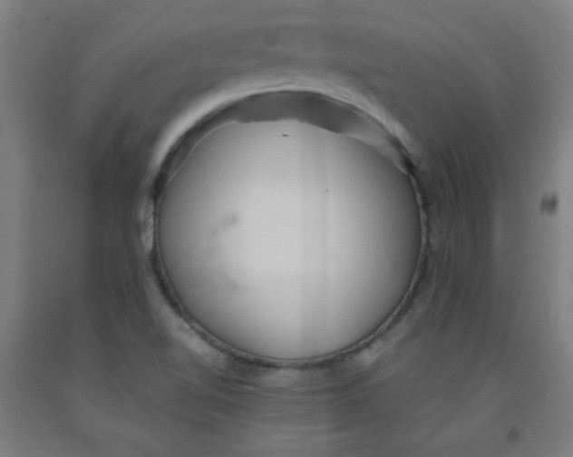 X0000091881510200709261341