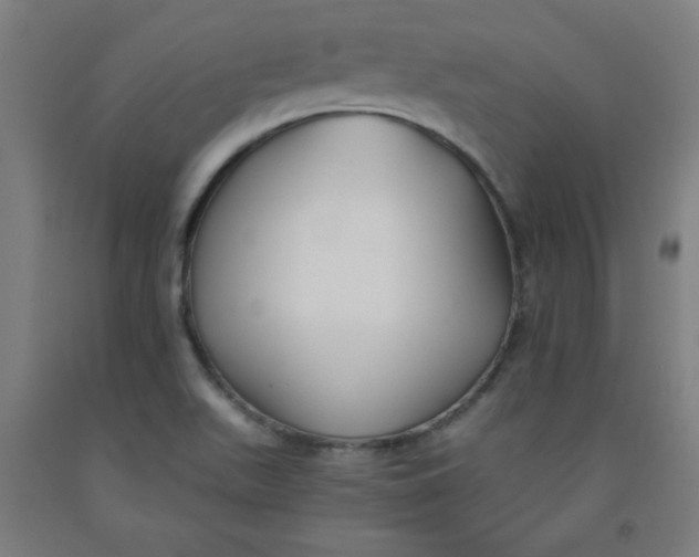 X0000091881511200709261341