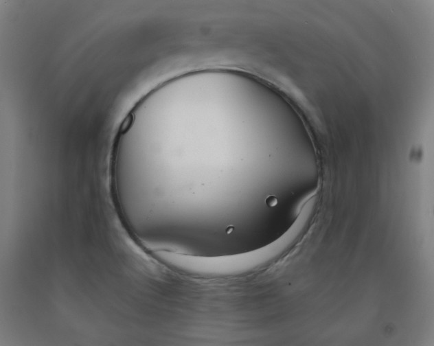 X0000091881512200709261341