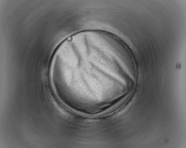 X0000091881513200709261341