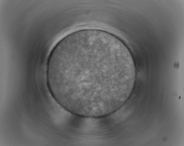 X0000091881514200709261341