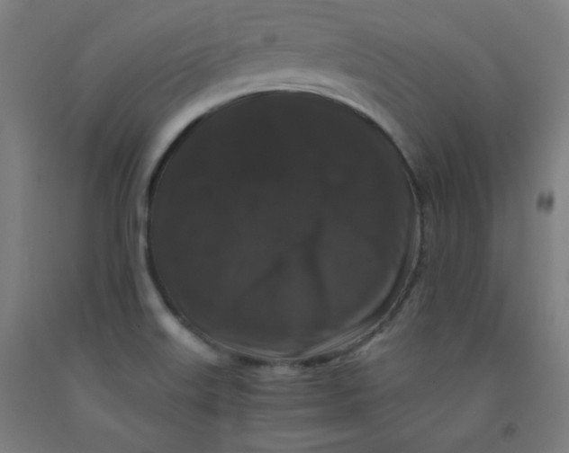 X0000091881515200709261341