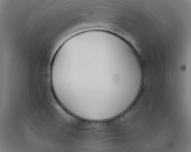 X0000091881516200709261341