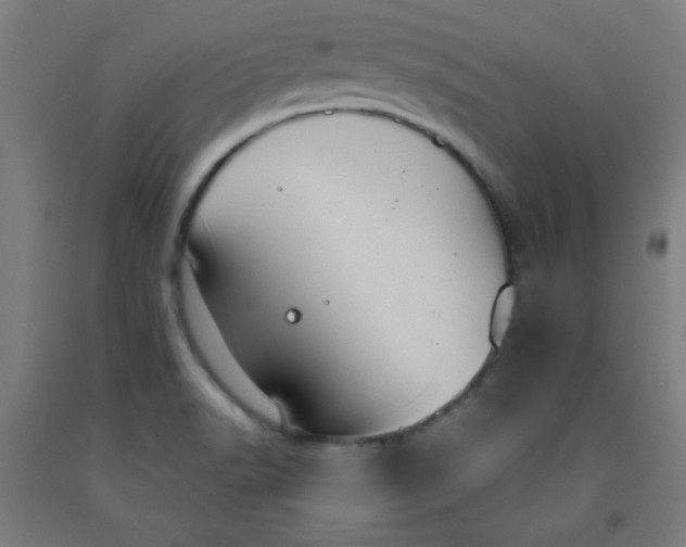 X0000091881518200709261341