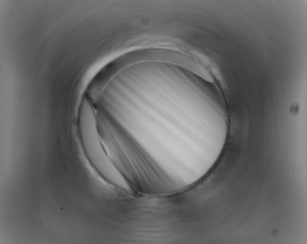 X0000091881520200709261341