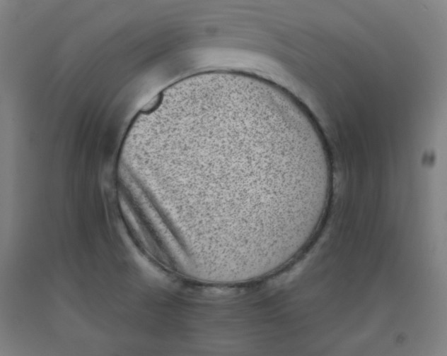 X0000091881521200709261341