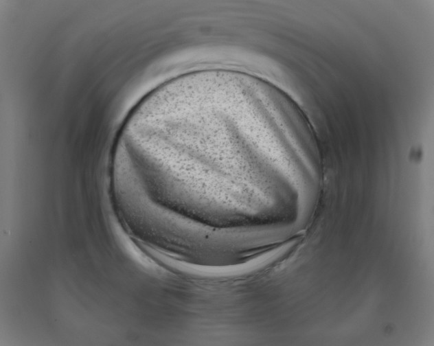 X0000091881523200709261341