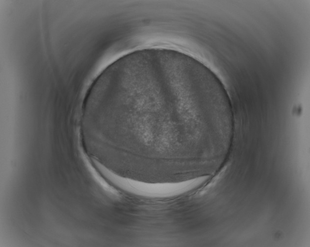 X0000091881525200709261341