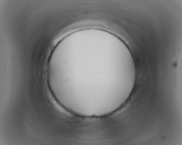 X0000091881526200709261341