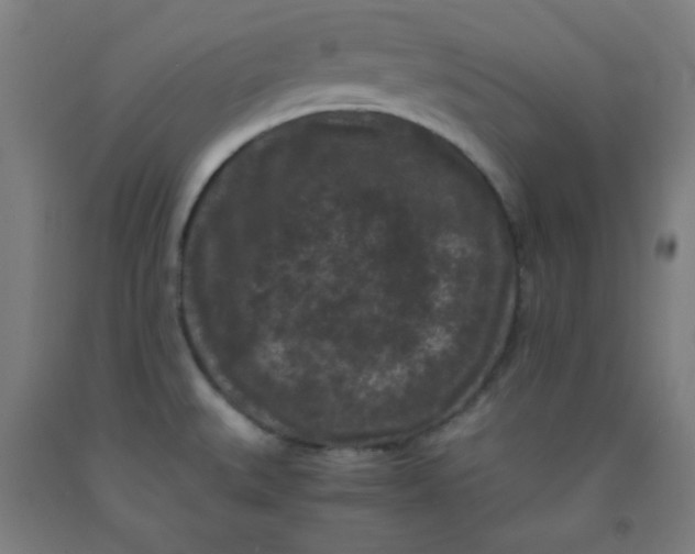 X0000091881527200709261341