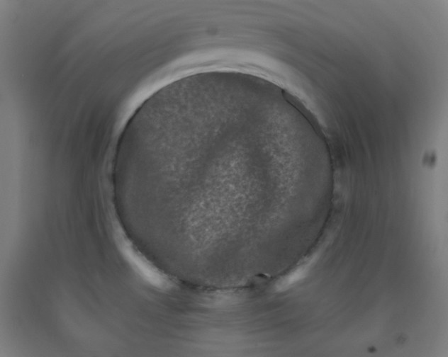 X0000091881530200709261341