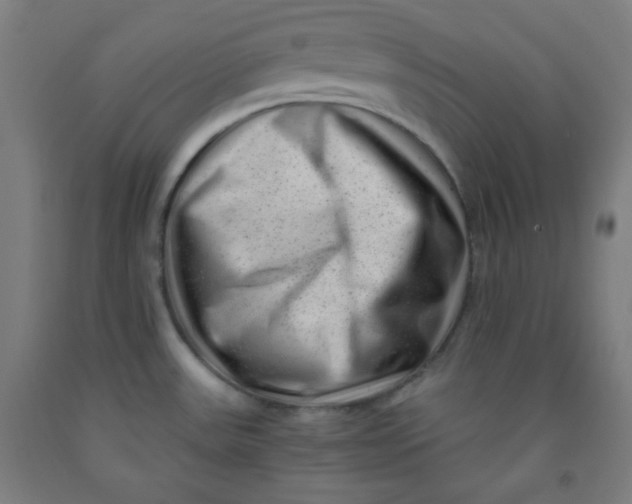 X0000091881531200709261341