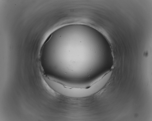 X0000091881532200709261341