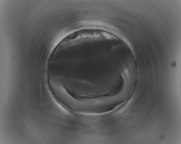 X0000091881533200709261341