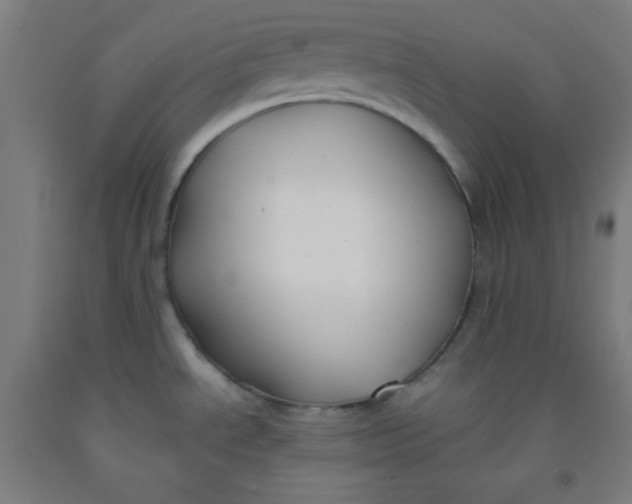 X0000091881534200709261341