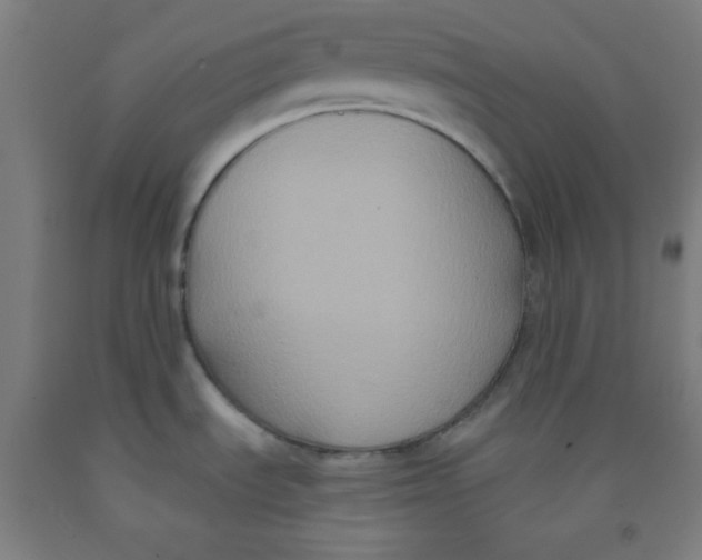 X0000091881535200709261341